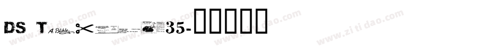 DS Ticket35字体转换